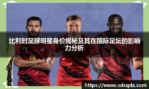 比利时足球明星身价揭秘及其在国际足坛的影响力分析