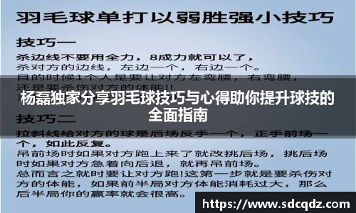杨磊独家分享羽毛球技巧与心得助你提升球技的全面指南